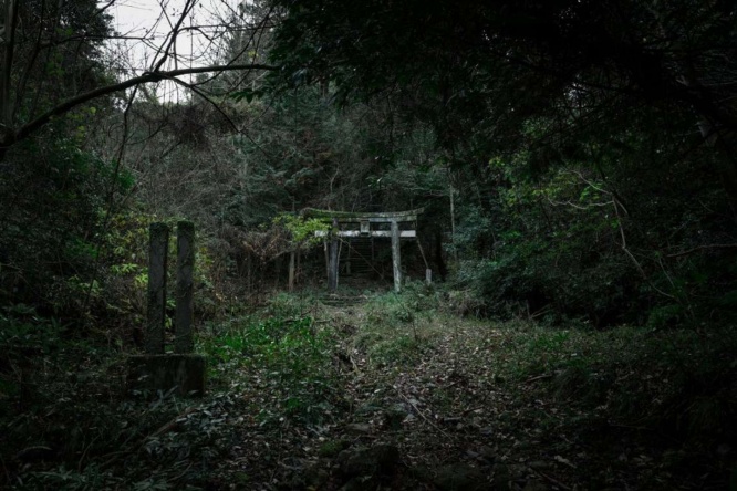 鳥居(画像はtoshibo(@JIYUKENKYU_jp)さんのツイートより)