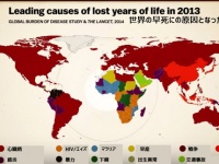 ドリフト走行が原因の国も！生まれた国でこんなに違う、各国別早死の主要な原因