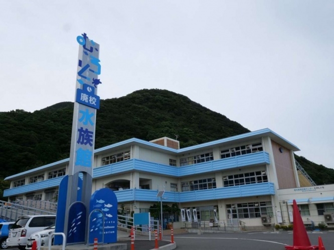 高知県にある「むろと廃校水族館」（写真は銀鏡つかささん提供）