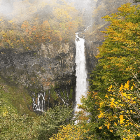 一人旅で疲労回復！　関東でおすすめの癒しスポット#2