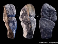世界最古のファルスか？4万2000年前のいちもつ型の装飾品がモンゴルで発見される