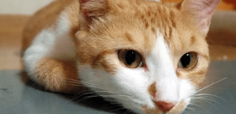 「Doctors Me（ドクターズミー）」コラム画像