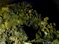 イギリスの地下に潜む恐怖。下水道に積もった長さ65メートルものファットバーグ（油脂の塊）