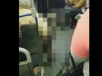 君は乗っちゃダメ！　とある男性と一緒にバスに乗り込んできたものとは？？