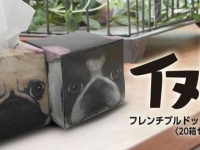 大昭和紙工産業株式会社のプレスリリース画像