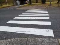 横断歩道の意外な事実（画像はイメージ）