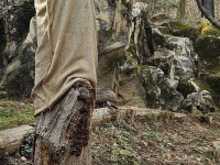 ユキヒョウ、どこでしょう？　多摩動物公園出題の〝激ムズクイズ〟に2.6万人苦戦