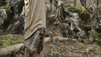 ユキヒョウ、どこでしょう？　多摩動物公園出題の〝激ムズクイズ〟に2.6万人苦戦