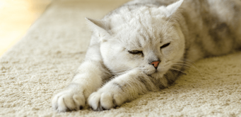 「Doctors Me（ドクターズミー）」コラム画像