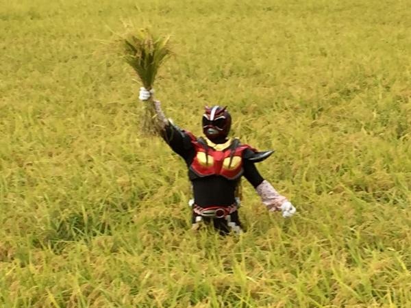 超神ネイガーの稲刈り