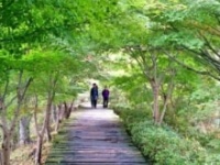 画像はイメージです