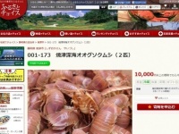 「ふるさとチョイス」ウェブサイト