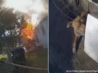 燃え盛る火の手が迫る中、鎖につながれた犬を警察官が決死の救出