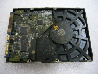 Ａ１データ株式会社のプレスリリース画像