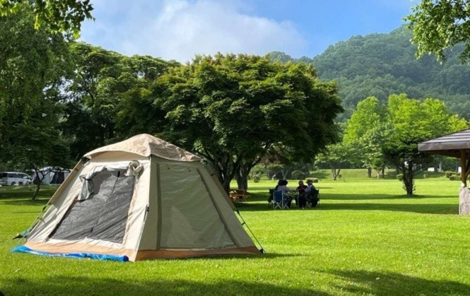 家族で訪れたキャンプ場で......（画像はイメージ）