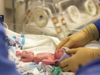 赤ちゃんは脳死の母胎で成長し続ける？shutterstock.com