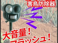 株式会社ドスパラのプレスリリース画像