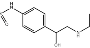 AMELIORATE DIGITAL CONSULTANCY PRIVATE LIMITEDのプレスリリース画像