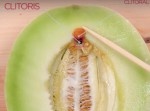 イかせたい！？　果物を女性器に見立てた動画www