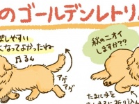 〝秋のゴールデンレトリバー〟描いたイラストに5万人メロメロ　「ほんと愛おしい」「思い出して泣けてきた」