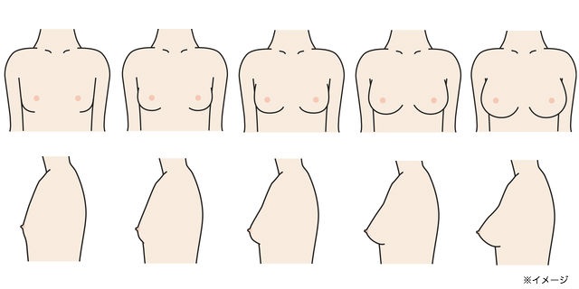 女の子の胸の成長過程