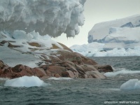 南極で未知なる島が発見される。氷河が解けて姿を現す