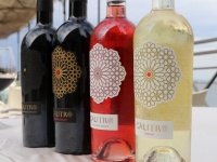 株式会社 Vino Hayashiのプレスリリース画像