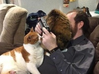 頼む、ほんの少しでいい！パーソナルスペースをください！出モノ猫モノ所かまわずなシーンをを詰め合わせてみた