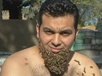 「ミツバチの髭」を生やしたエジプト人男性が話題に