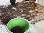帰ったら植木鉢の土が散乱。　→犯人であるワンちゃんの態度が…！笑