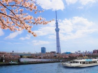 株式会社スパイスサーブのプレスリリース画像