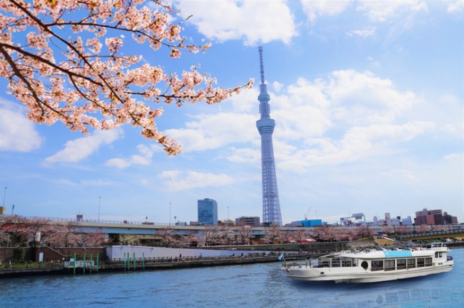 株式会社スパイスサーブのプレスリリース画像