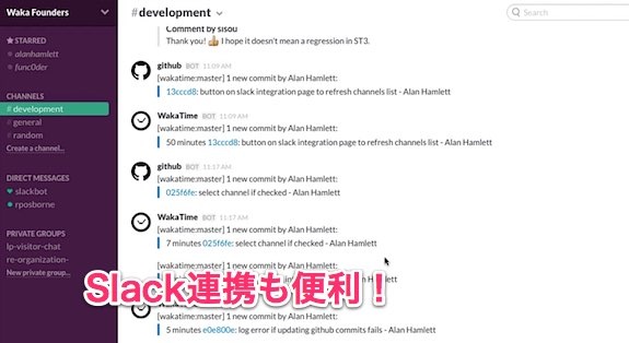 wakatime_06