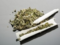 大麻による健康被害は?（shutterstock.com）