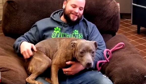 スクリーンショット-(547)