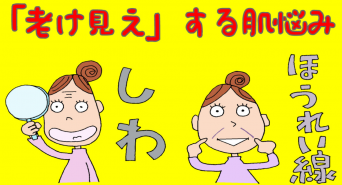 株式会社セプテム総研のプレスリリース画像