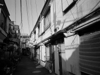 画像はイメージです（yamauchiさん撮影、Flickrより）