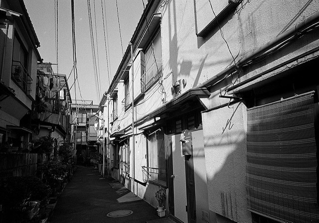 画像はイメージです（yamauchiさん撮影、Flickrより）