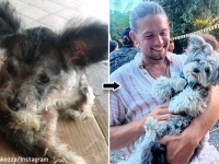 2年前に助けた痩せっぽちの子犬に再会した男性。その驚くべき変化に衝撃を受ける