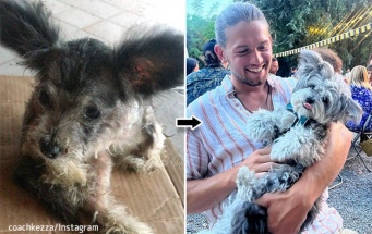 2年前に助けた痩せっぽちの子犬に再会した男性。その驚くべき変化に衝撃を受ける