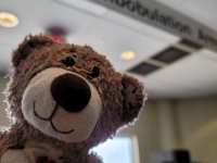 5歳児の心の友「テディベア」が多くの人の協力で、無事持ち主と再会