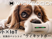 株式会社コズミックコミュニケーションズのプレスリリース画像