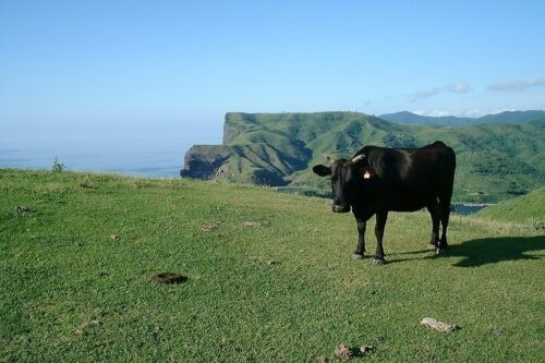 プレゼントキャンペーン