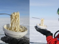 バナナで釘が打てるくらいだもの。南極の野外で食事をしようとするとすべてが食品サンプル化する件