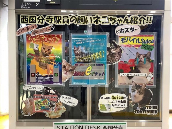 ポスターの他に、小さなポップも