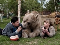 驚きの国おそロシア！人間夫婦と仲良く暮らす体重130キロの元野生クマ・ステファンくんが話題に