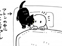 飼い猫の行動で感じる〝冬の訪れ〟に4.7万人の心ぽかぽか　「羨ましい季節です」「冬のしあわせ」