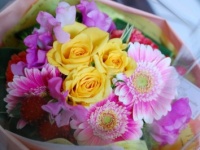 ショックな結果に！　花を贈られても、うれしくない男性70.9％　その理由は？