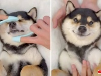 ここはいったい何て天国？愛犬、わんこ仕様のエステサロンでうっとろりんとこの笑顔