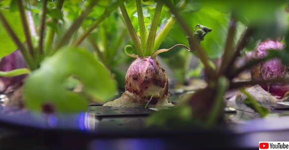 スクリーンショット-(2896)